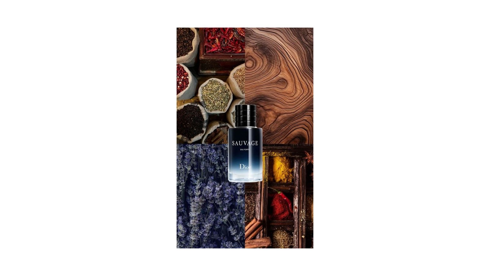 Untitled design - 2025-11-02T164756.578
