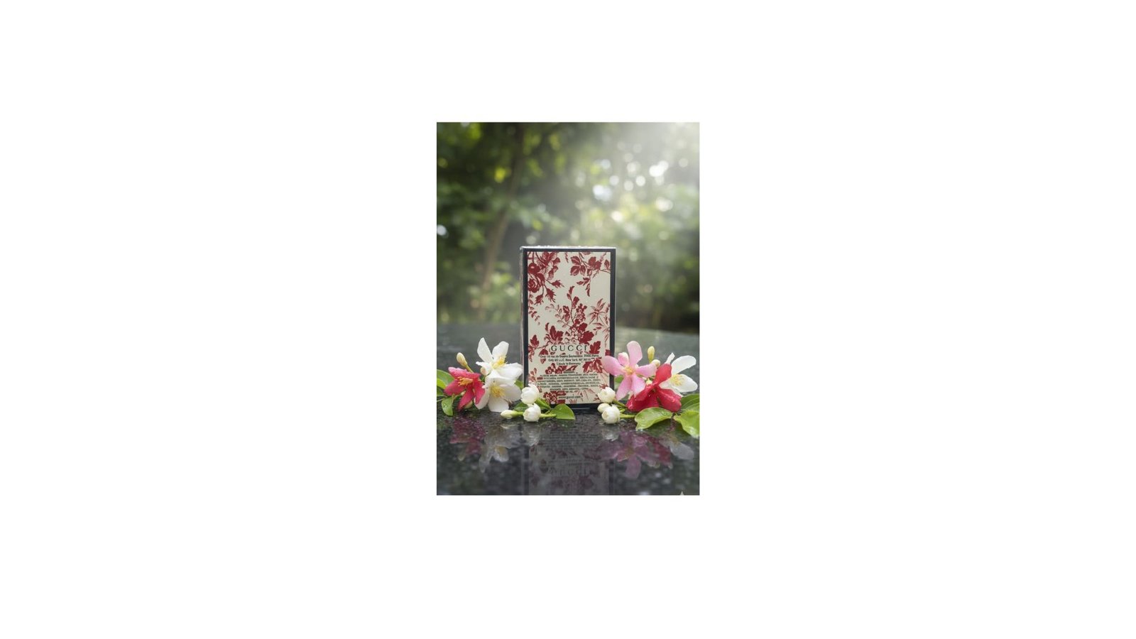Untitled design - 2025-11-03T171656.584