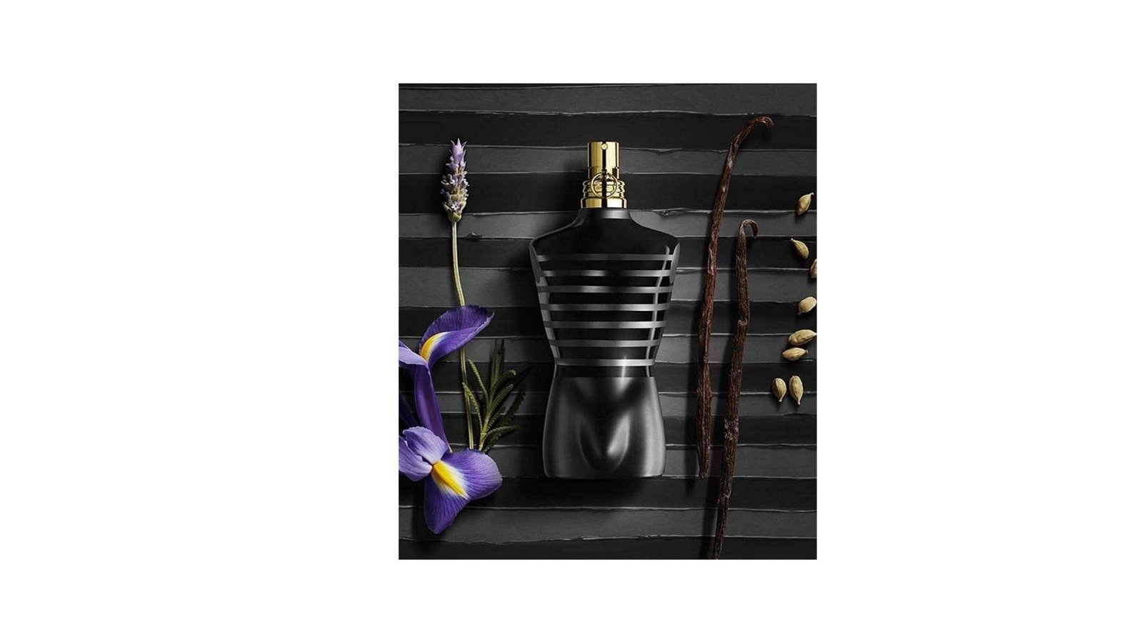 Untitled design (47)