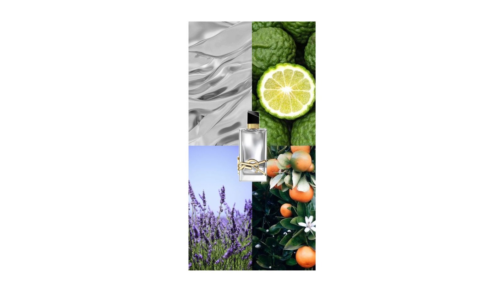 httpspapilioperfum.comwp-adminmedia-upload.phppost_id=12263&type=image&TB_iframe=1 (20)