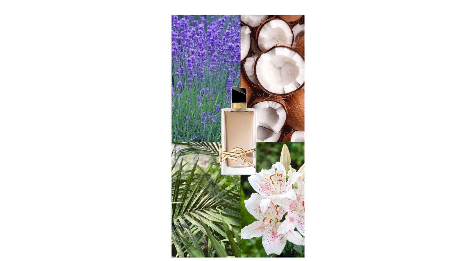 httpspapilioperfum.comwp-adminmedia-upload.phppost_id=12263&type=image&TB_iframe=1 (31)