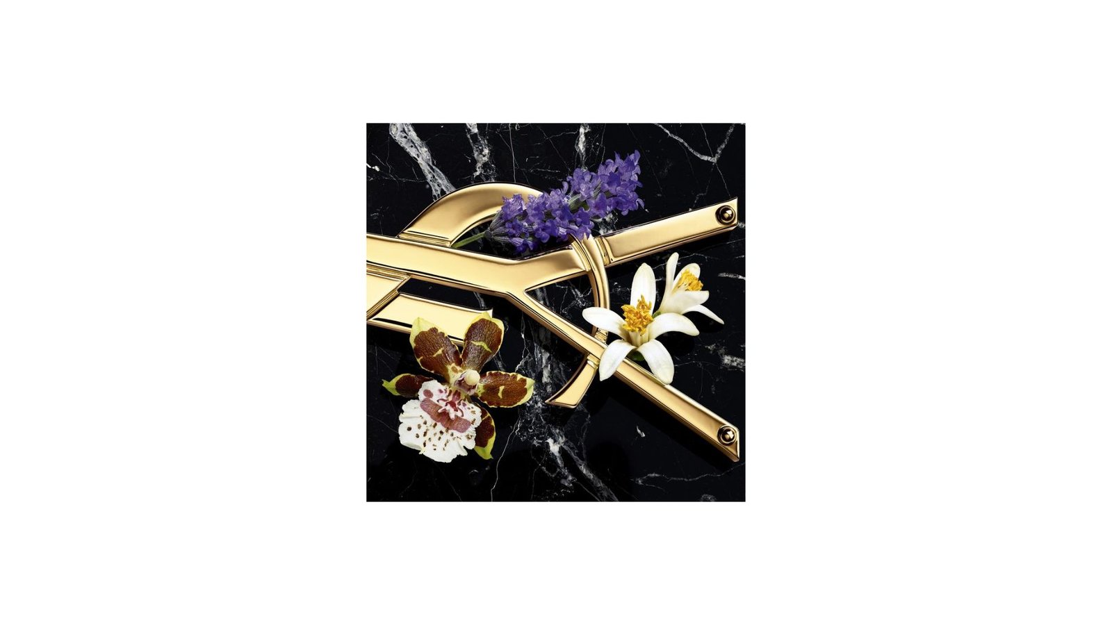 httpspapilioperfum.comwp-adminmedia-upload.phppost_id=12263&type=image&TB_iframe=1 (7)