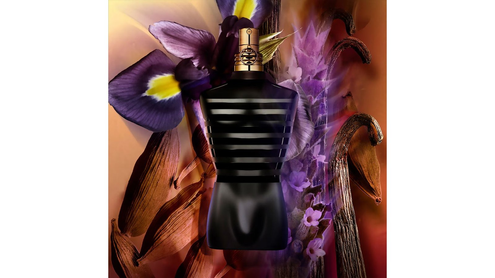 Untitled design - 2026-01-08T164436.364