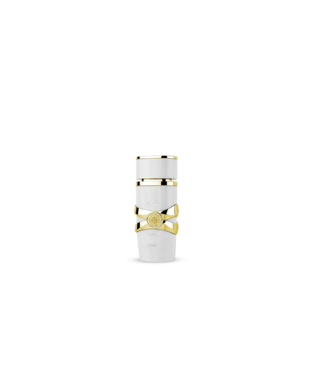 Untitled design - 2026-03-02T132757.966