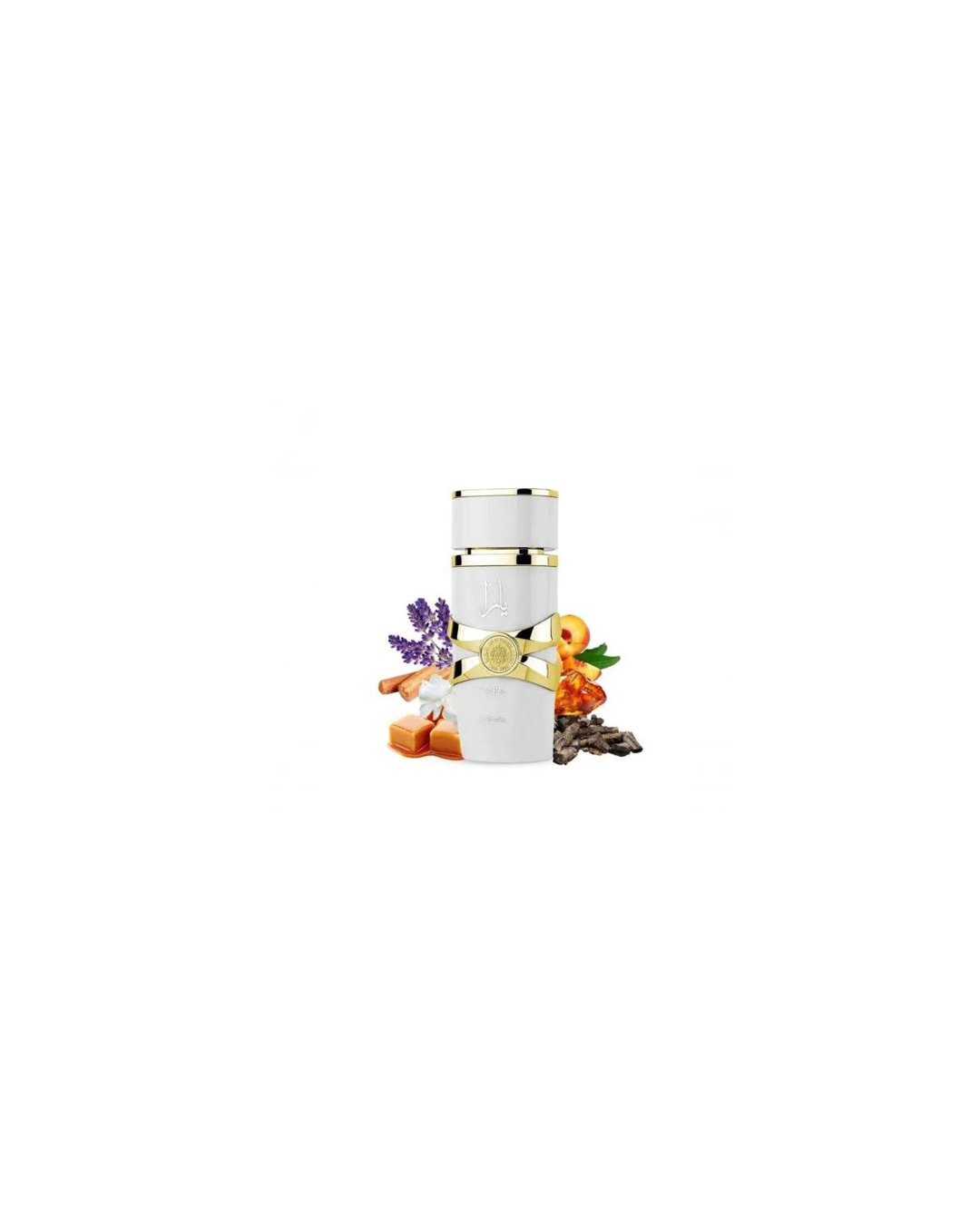 Untitled design - 2026-03-02T132836.128