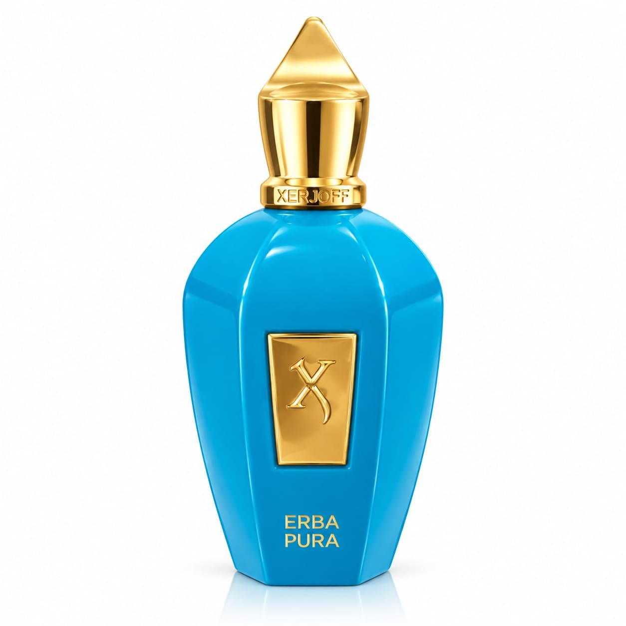 WhatsApp Image 2026-09-17 at 7.33.30 PM ( 100ml ) _ XERJOFF ERBA PURA - الصورة 1